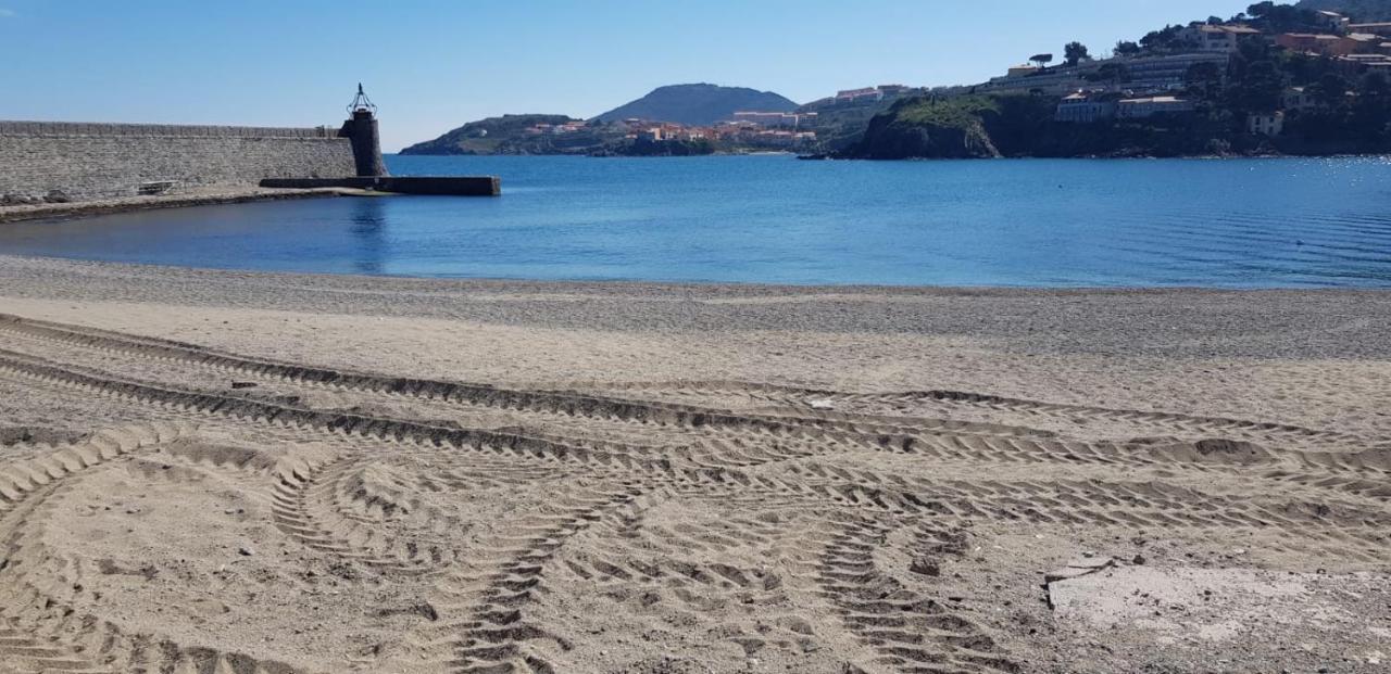 Studio Centre Plage Parking Gratuit Collioure Exteriör bild