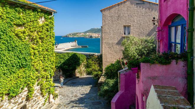 Studio Centre Plage Parking Gratuit Collioure Exteriör bild